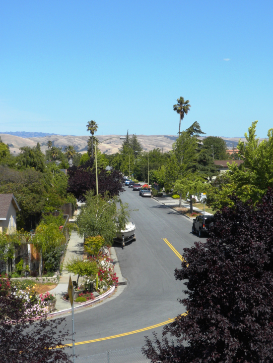 Blossom Valley Street in San Jose CA