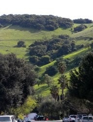 Santa Teresa Hills in Winter in San Jose CA