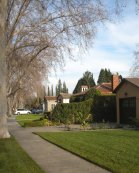 Homes For Sale by Sophia Delacotte San Jose Realtor