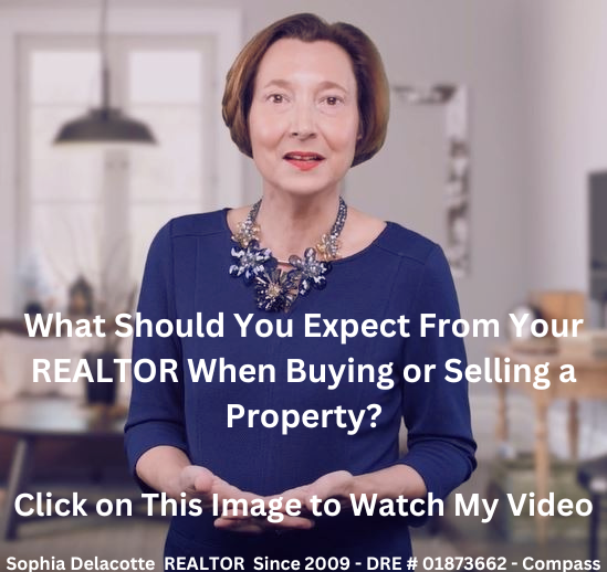 Sophia Delacotte Real Estate Agent Video What to  Expect from Your Realtor When Buying or Selling a Home