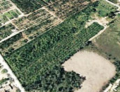 Miami Industrial Land for Sale