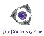 Dolphin Group Realty