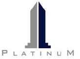 Platinum Properties International, Inc.