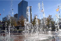 City Land Group