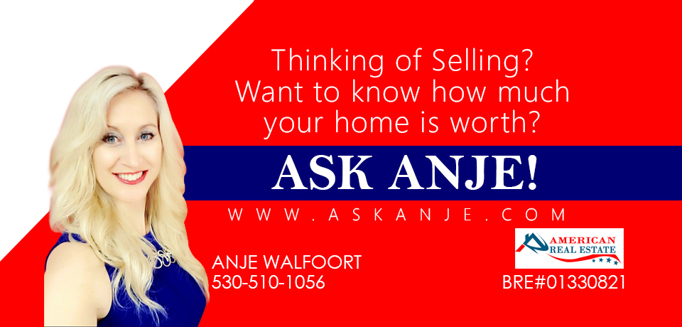Anje Walfoort Top Selling Real Estate Agent