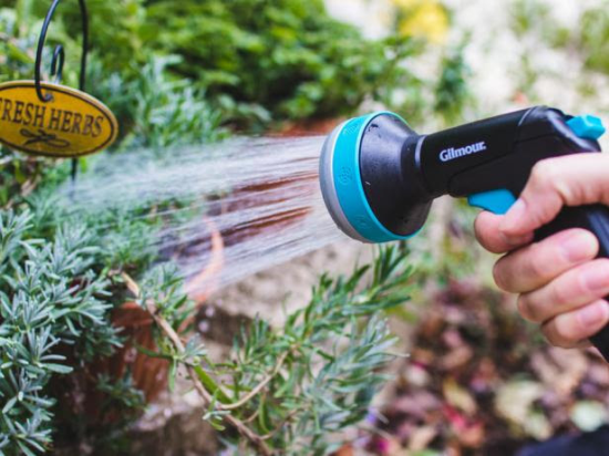 Don't Make These Winter Garden Mistakes