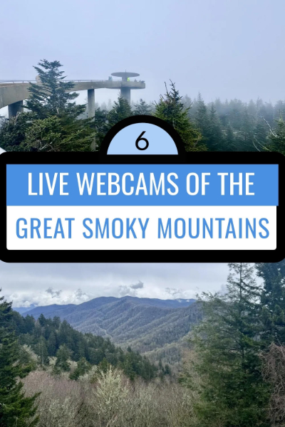 Smoky Mountain Views
