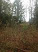 9.80 acres W Oak Hill Rd