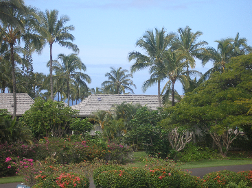 3811 Edward Rd, #3304, Princeville, HI 96722