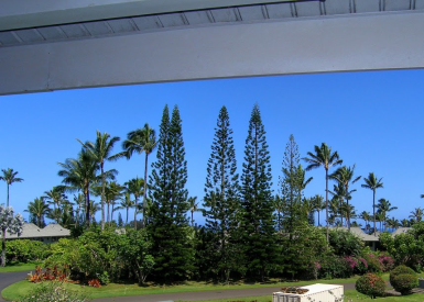 3811 Edward Road Apt 3304, Princeville, HI      