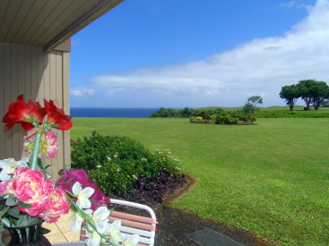 5280 Ka Haku Rd Apt 138, Princeville, HI 96722