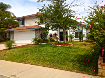 12596 Broadleaf