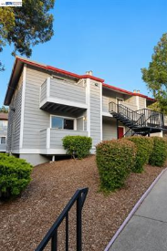29629 Mountain Oak #46
