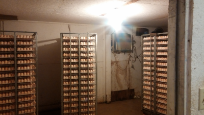 1958 Lafatette 47 Rd