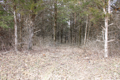 4 Monroe Road 875