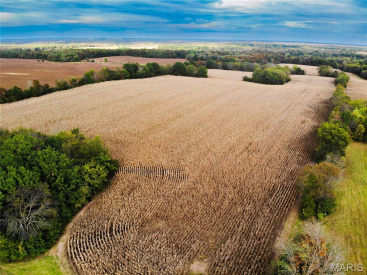 25 acres Monroe Road 645