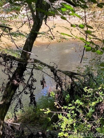 Lot 1 Coldwater Creek